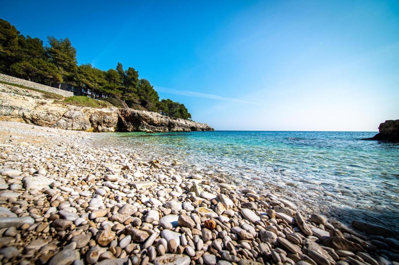 Villa Krasa Sea View Apartmants With Pool Ližnjan エクステリア 写真